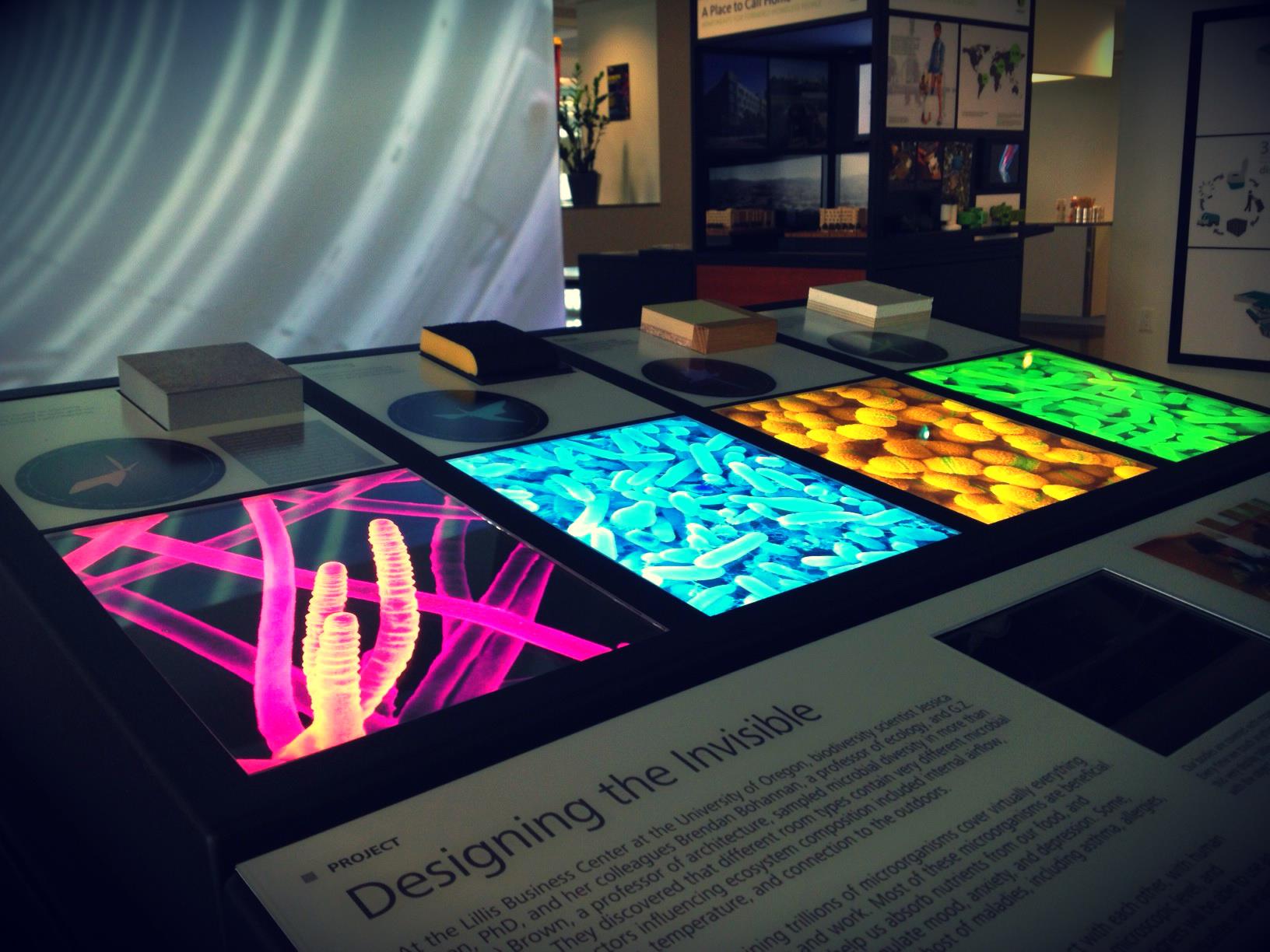 Exhibit design project one